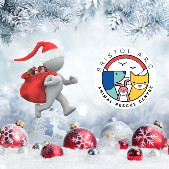 Bristol ARC Virtual Santa Dash