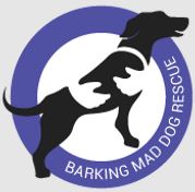 Barking Mad Dog Rescue