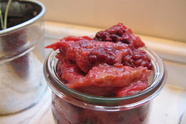 Spiced Rhubarb and Plum Compote